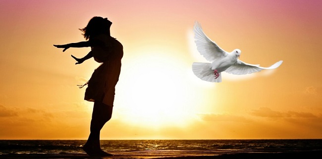 Giải phóng pii