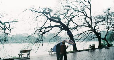Lễ hội mùa đông