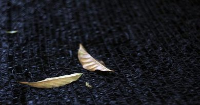 Muộn màng