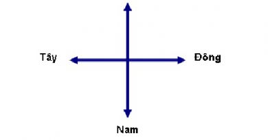 Đông tây nam bắc
