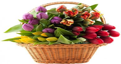 Hiện hữu xuất phát từ tâm