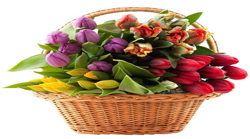 Hiện hữu xuất phát từ tâm