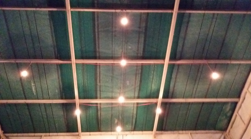 Hiệu ứng hiện tiền