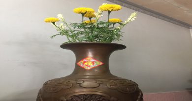Thế sự - đời sống